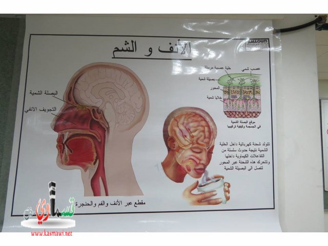 كفرقاسم : افتتاح مختبر العلوم والتكنولوجيا في المدرسة العمرية